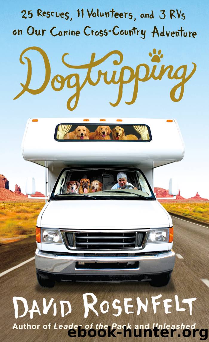 Dogtripping by David Rosenfelt