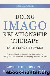 Doing Imago Relationship Therapy in the Space-Between: A Clinician's Guide by Harville Hendrix & Helen LaKelly Hunt