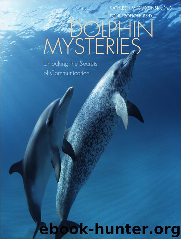 Dolphin Mysteries by Kathleen M. Dudzinski & Toni Frohoff