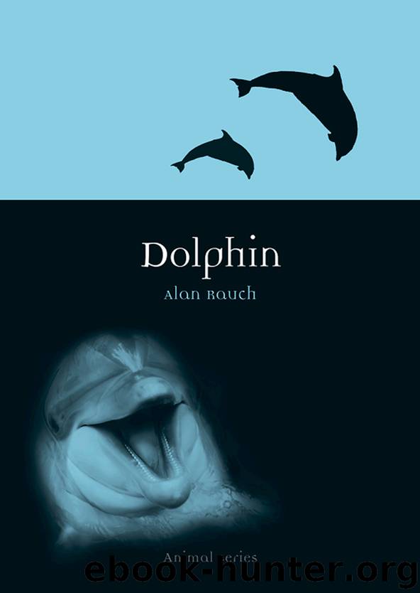 Dolphin by Alan Rauch