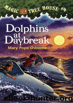 Dolphins at Daybreak by Mary Pope Osborne