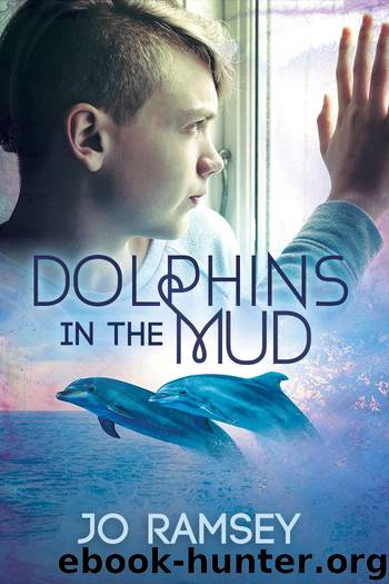 Dolphins in the Mud by Jo Ramsey
