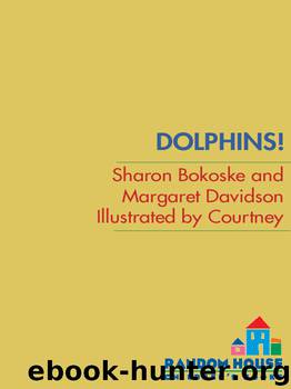 Dolphins! by Sharon Bokoske