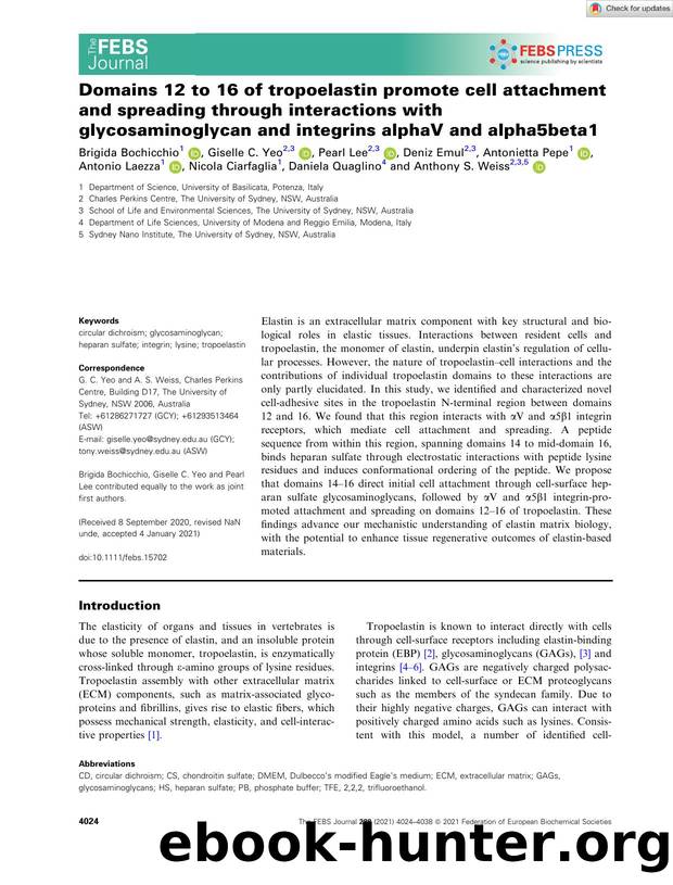 Domains 12 to 16 of tropoelastin promote cell attachment and spreading through interactions with glycosaminoglycan and integrins alphaV and alpha5beta1 by Unknown