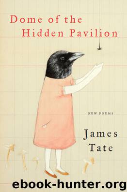 Dome of the Hidden Pavilion by James Tate