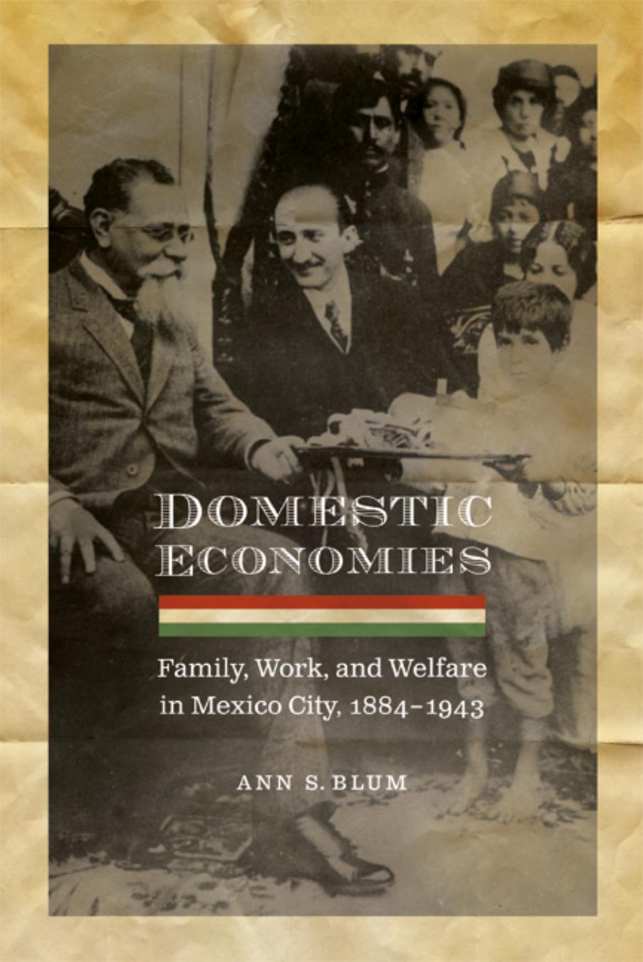 Domestic Economies: Family, Work, and Welfare in Mexico City, 1884-1943 by Ann S. Blum