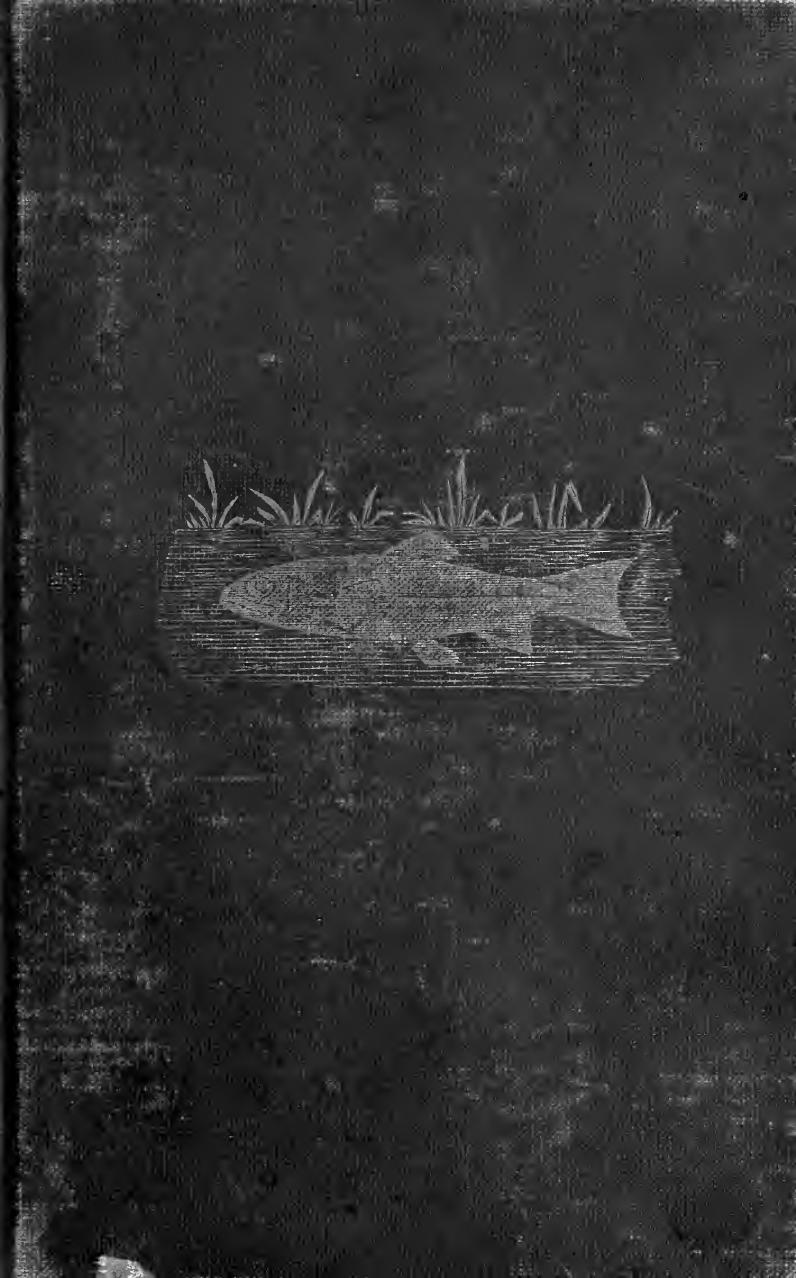 Domesticated trout by Stone Livingston 1836-1912