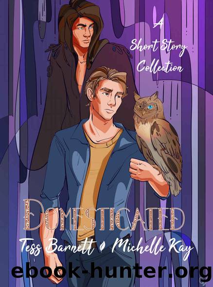 Domesticated: A Short Story Collection by Tess Barnett & Michelle Kay
