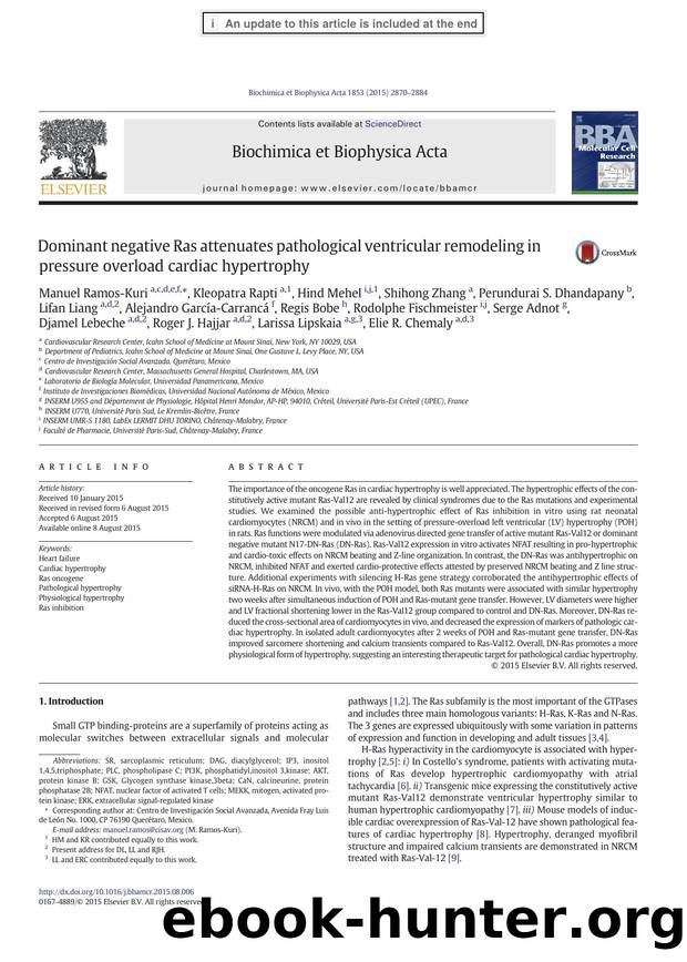 Dominant negative Ras attenuates pathological ventricular remodeling in pressure overload cardiac hypertrophy by unknow