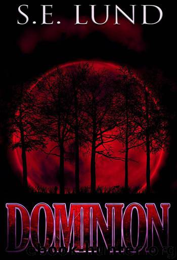 Dominion (Book 1 of The Dominion Series) by Lund S. E