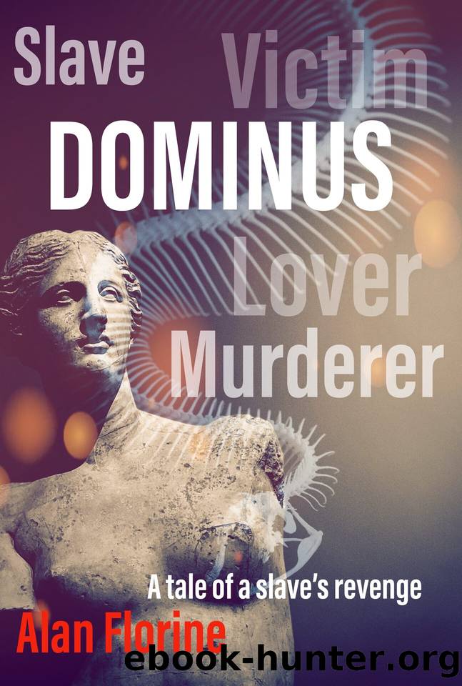Dominus: A tale of a slave's revenge in ancient Rome (The Empress and the Vagabond Book 2) by Florine Alan