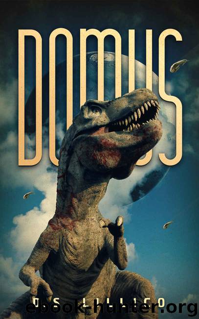 Domus by D.S. Lillico