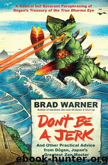 Don't Be a Jerk by Brad Warner