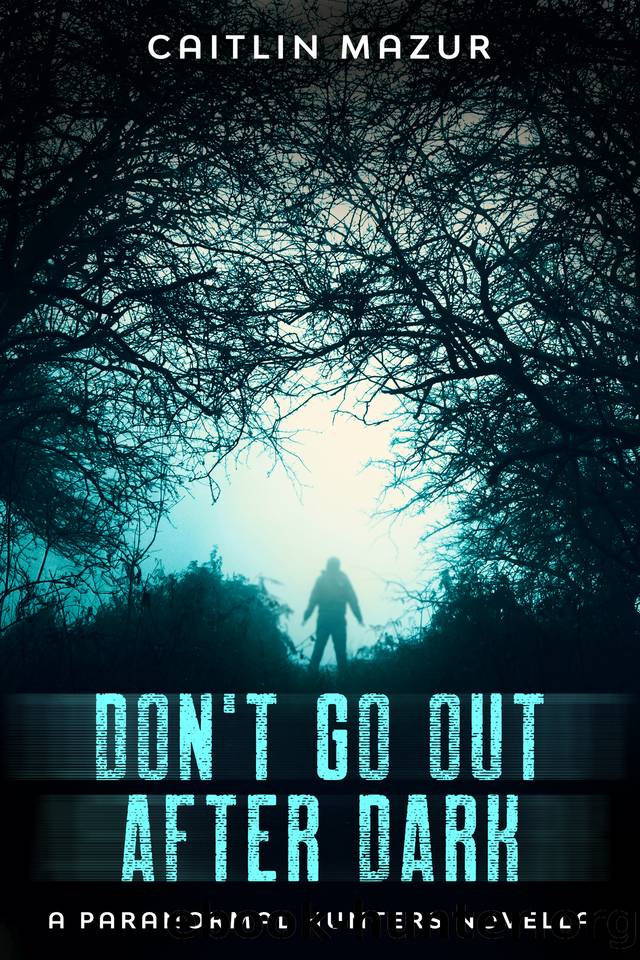 Don't Go Out After Dark: A Paranormal Hunters Novella by Caitlin Mazur