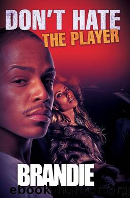 Don't Hate the Player by Brandie