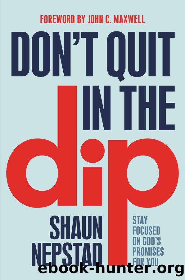 Don't Quit in the Dip by Shaun Nepstad