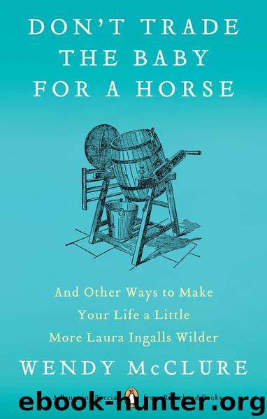 Don't Trade the Baby for a Horse by Wendy McClure