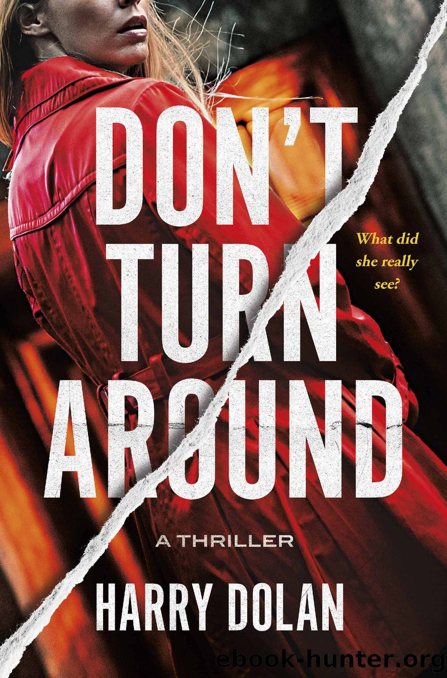Don't Turn Around by Harry Dolan