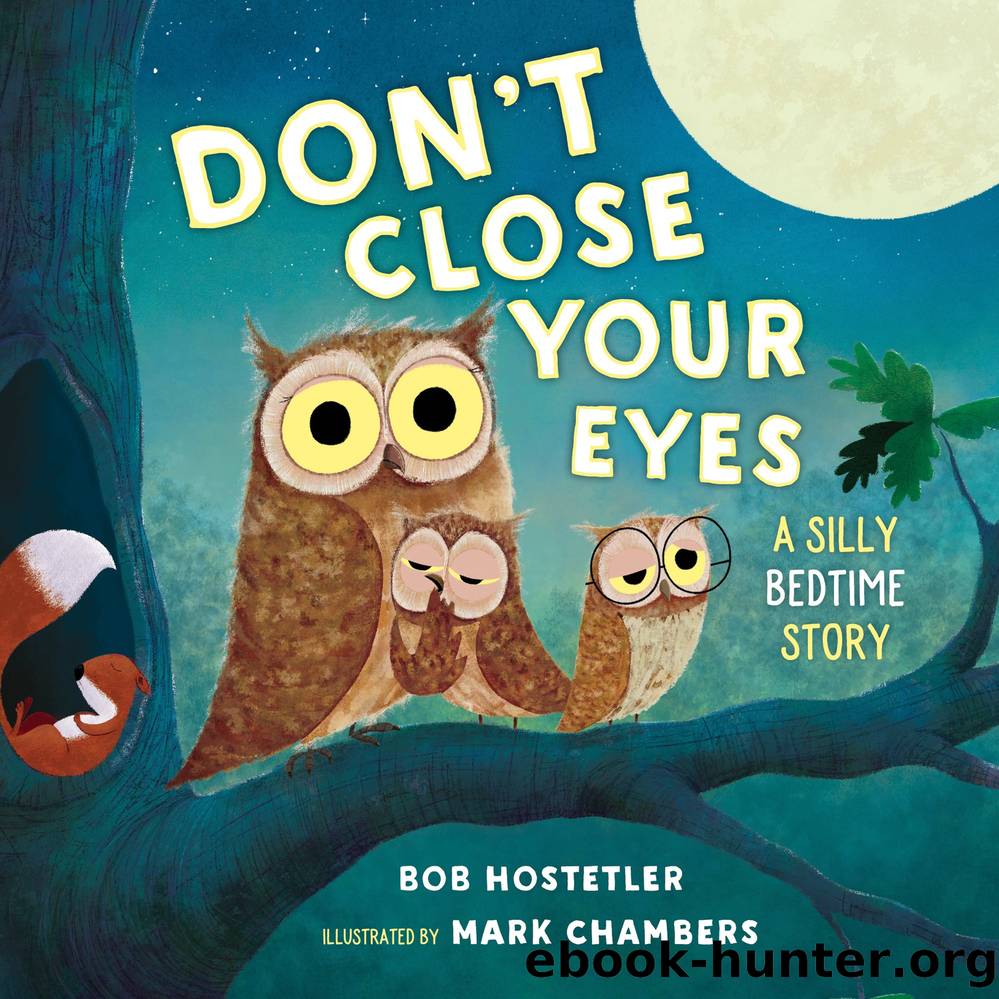 Donât Close Your Eyes: A Silly Bedtime Story by Bob Hostetler