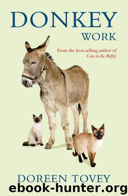 Donkey Work by Doreen Tovey