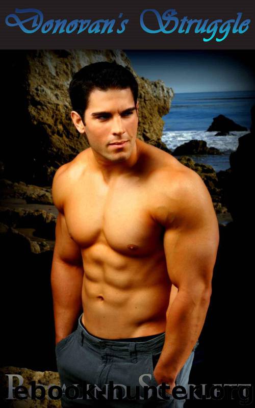 Donovan's Struggle, an Erotic Romance Novella (Anam Céile Chronicles) by Rosalind Scarlett