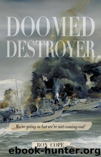 Doomed Destroyer by Ron Cope