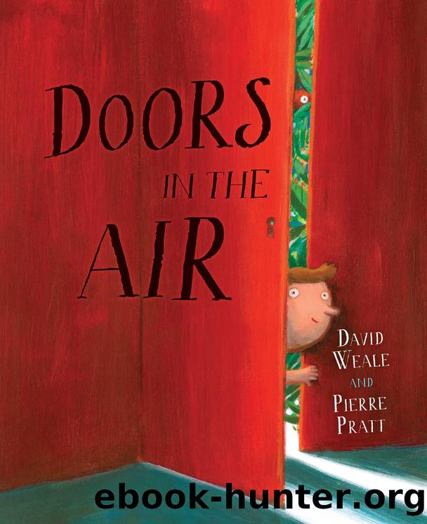 Doors in the Air by David Weale