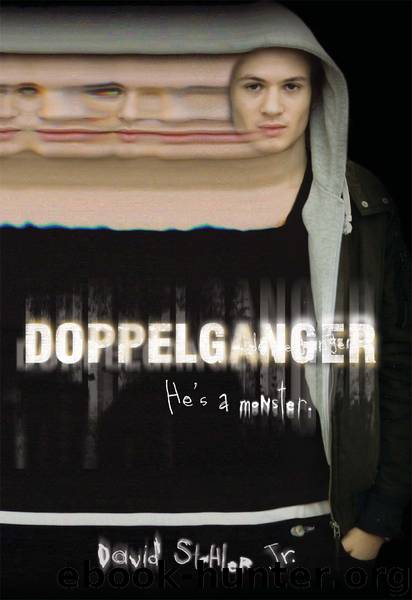 Doppelganger by David Stahler Jr