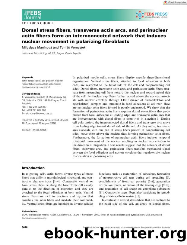 Dorsal stress fibers, transverse actin arcs, and perinuclear actin fibers form an interconnected network that induces nuclear movement in polarizing fibroblasts by Unknown