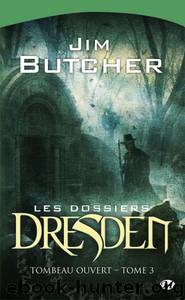 Dossiers Dresden 3 by Jim Butcher