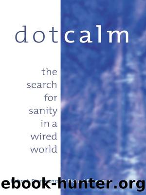 Dot Calm: The Search for Sanity in a Wired World by Debra A. Dinnocenzo & Richard B. Swegan