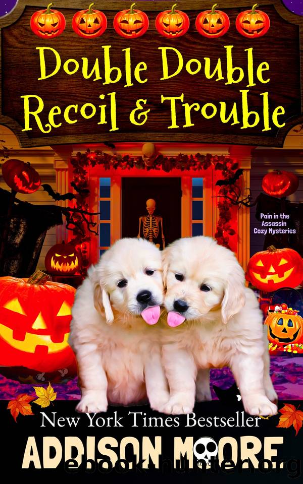 Double Double Recoil and Trouble (Pain in the Assassin Cozy Mysteries Book 2) by Addison Moore