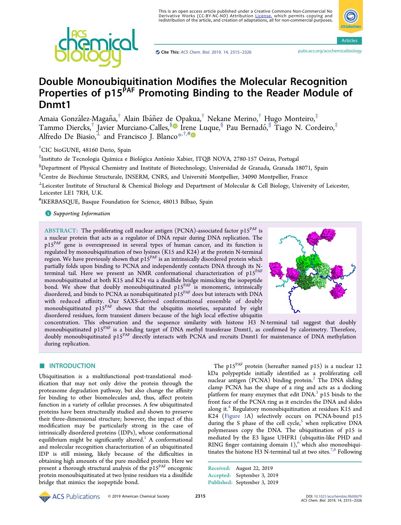 Double Monoubiquitination Modifies the Molecular Recognition Properties of p15PAF Promoting Binding to the Reader Module of Dnmt1 by unknow