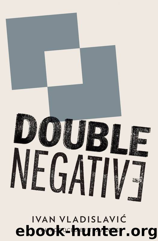 Double Negative by Ivan Vladislavic