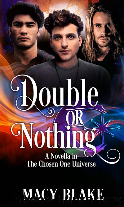 Double Or Nothing: A Novella in the Chosen One Universe by Macy Blake