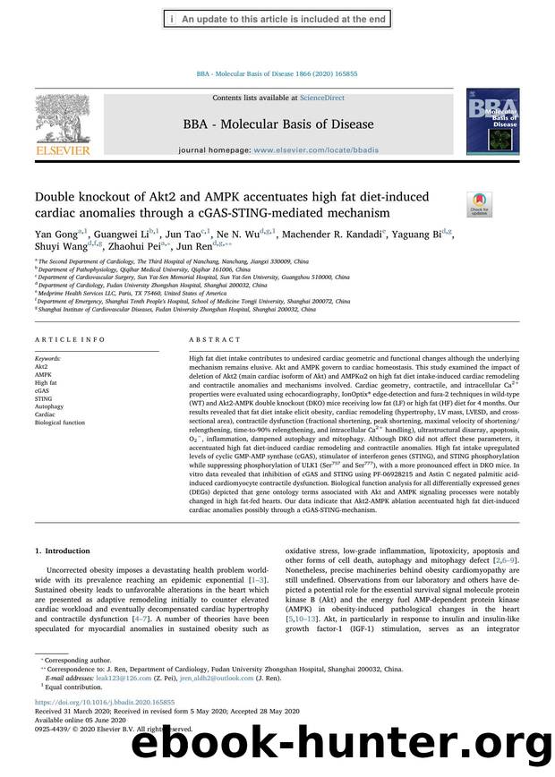 Double knockout of Akt2 and AMPK accentuates high fat diet-induced cardiac anomalies through a cGAS-STING-mediated mechanism by unknow
