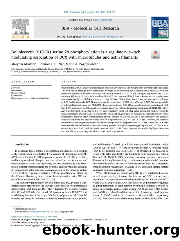 Doublecortin X (DCX) serine 28 phosphorylation is a regulatory switch, modulating association of DCX with microtubules and actin filaments by Maryam Moslehi & Dominic C.H. Ng & Marie A. Bogoyevitch