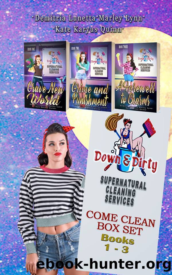 Down & Dirty Supernatural Cleaning Services Boxset Books 1-3 by unknow