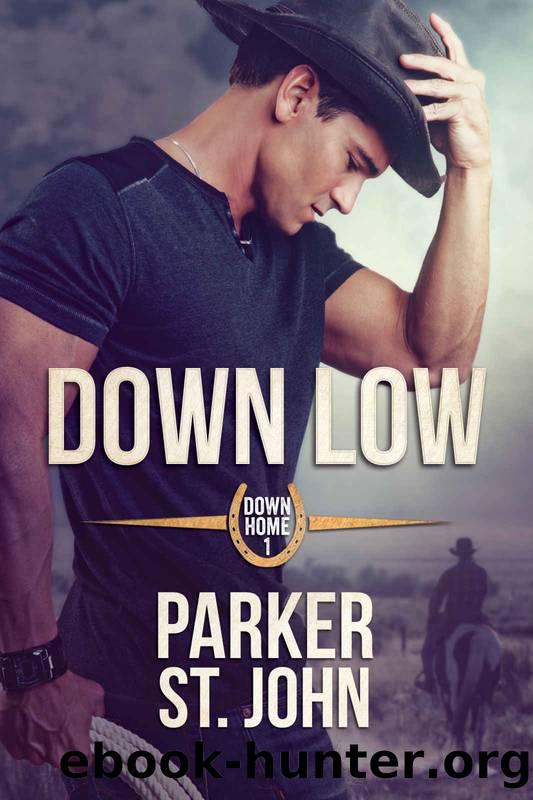 Down Low (Down Home Book 1) by Parker St. John