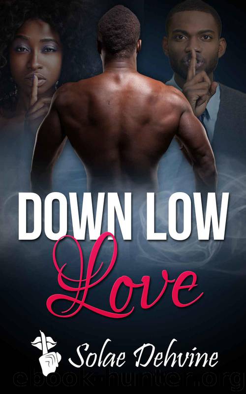 Down Low Love: Urban Romance by Solae Dehvine