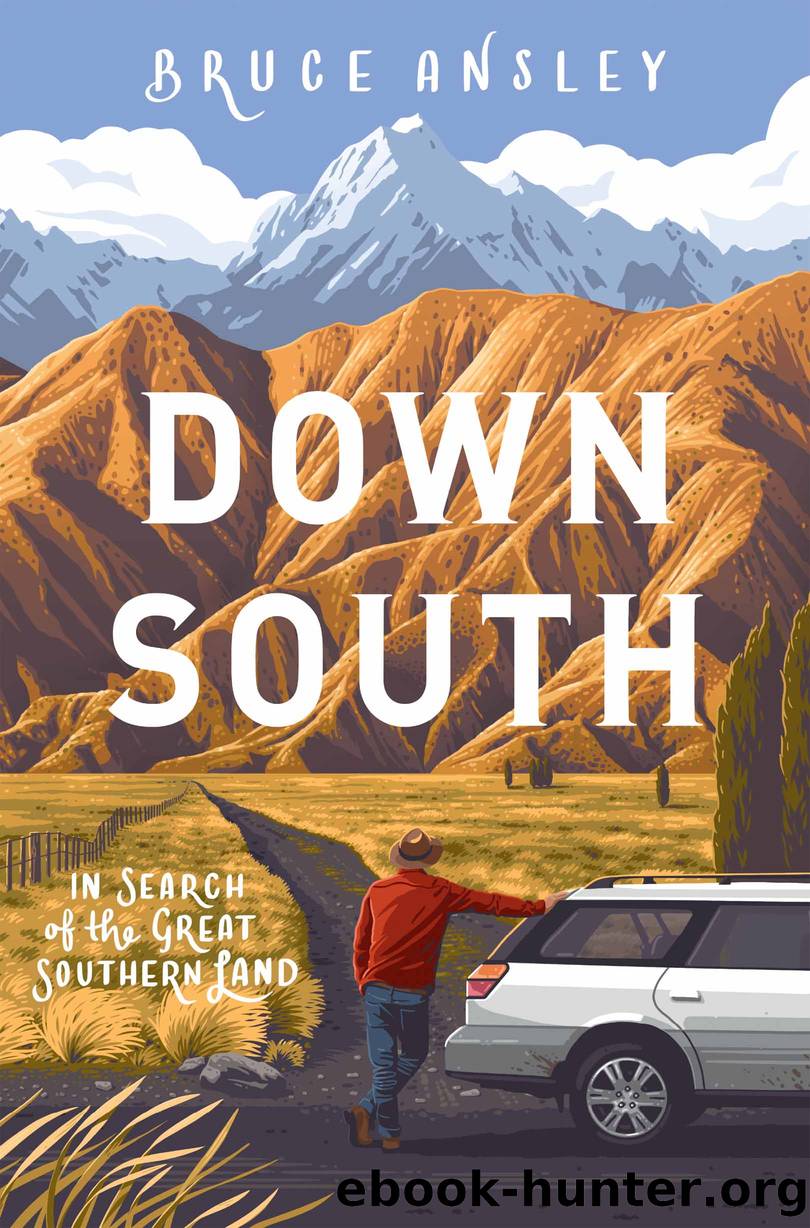 Down South by Bruce Ansley