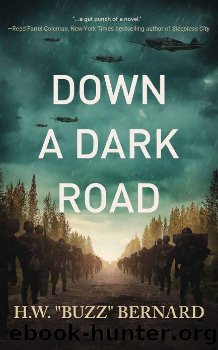 Down a Dark Road (When Heroes Flew Book 4) by H. W. "Buzz" Bernard