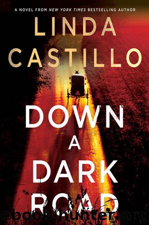 Down a Dark Road by Linda Castillo