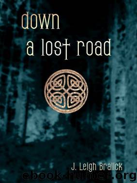 Down a Lost Road by J. Leigh Bralick