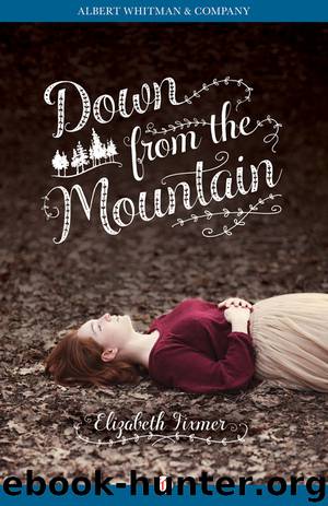 Down from the Mountain by Elizabeth Fixmer