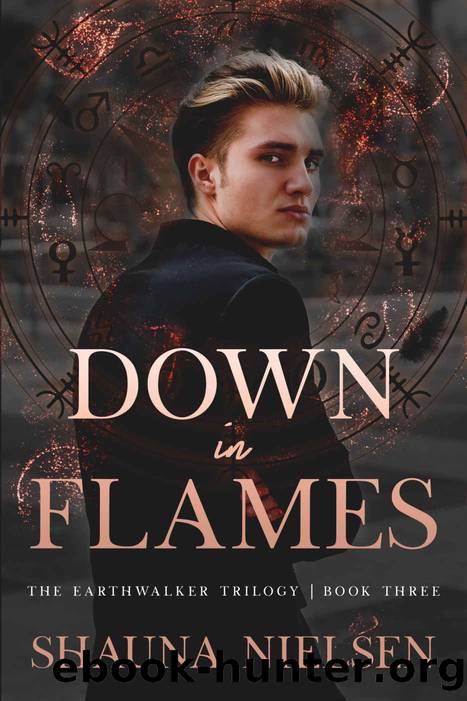 Down in Flames by Neilsen Shauna
