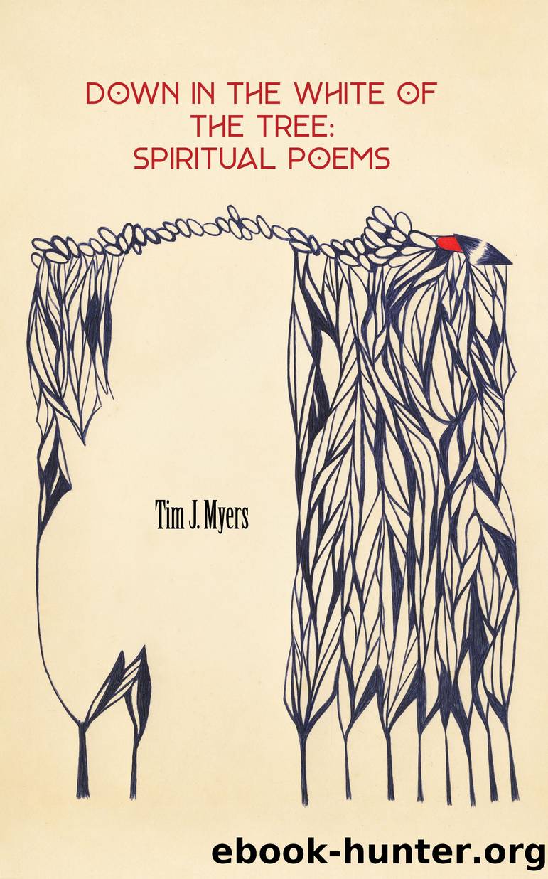 Down in the White of the Tree by Tim Myers