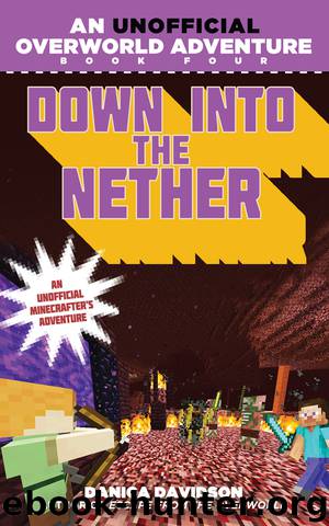 Down into the Nether by Danica Davidson
