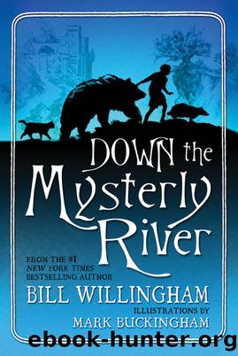Down the Mysterly River by Bill Willingham