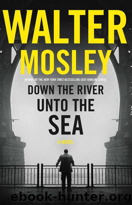 Down the River unto the Sea by Walter Mosley